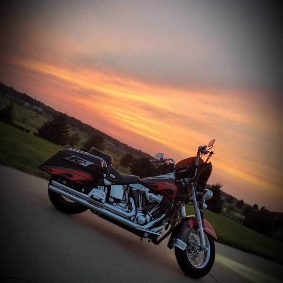 Meet your Posher, Nick - Picture 2 of 2